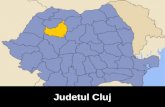 Judetul Cluj