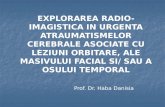 Prof. Dr.  Haba Danisia