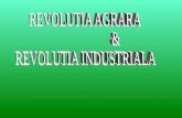 REVOLUTIA AGRARA            & REVOLUTIA INDUSTRIALA