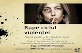 Seminar  Rupe ciclul violenței