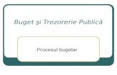Buget şi Trezorerie Publică