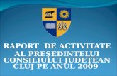 RAPORT  DE ACTIVITATE  AL PRE ŞEDINTELUI CONSILIULUI JUDEŢEAN CLUJ PE ANUL 20 09