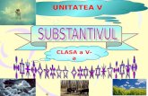 UNITATEA V