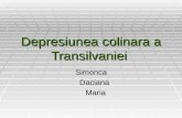 Depresiunea colinara a Transilvaniei