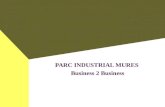 PARC INDUSTRIAL MURES  Business 2 Business