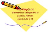 PROTEINELE Dumitrascu Alexandru si Stanciu  Adrian clasa  a-XI-a A