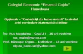 Colegiul Economic “Emanuil Gojdu”   Hunedoara