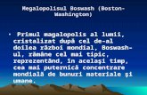 Megalopolisul Boswash (Boston-Washington)