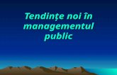 Tendin ţe noi în managementul public