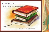 PROIECT  LIMBA ROMANA