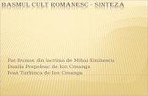 Basmul cult romanesc - Sinteza