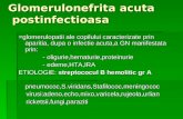 Glomerulonefrita acuta       postinfectioasa