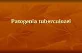 Patogenia tuberculozei