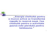 LICEUL  TEORETIC  ,,LUCIAN  BLAGA”  RAPORT  DE  ANALI ZĂ  semestrul  I , 2008 - 2009