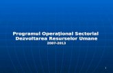 Programul Operaţional Sectorial  Dezvoltarea Resurselor Umane 2007-2013