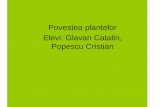 Povestea plantelor Elevi: Glavan Catalin, Popescu Cristian