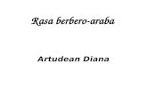 Rasa berbero-araba