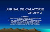 JURNAL DE CALATORIE                      GRUPA 3