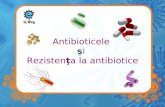 Antibioticele  ş i Rezisten ţ a la antibiotice