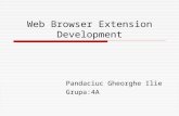 Web Browser Extension Development