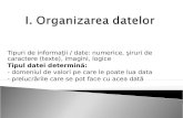 I.  Organizarea datelor