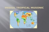 Mediul  tropical  musonic