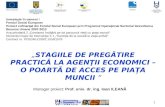 Manager proiect:  Prof. univ. dr. ing. Ioan ILEANĂ