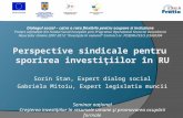 Perspective sindicale pentru  sporirea investiţiilor în  RU Sorin Stan , Expert dialog social