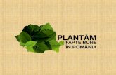 Suntem o miscare sociala.  Plantam, crestem si protejam paduri. In Romania .