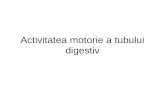Activitatea motorie a tubului digestiv