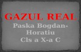 GAZUL REAL Paska Bogdan-Horatiu Cls  a X-a C