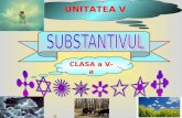 UNITATEA V