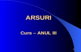 ARSURI Curs  – ANUL III