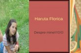 Haruta Florica