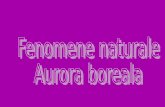 Fenomene naturale Aurora boreala