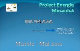 Proiect Energia Mecanică