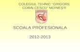 SCOALA PROFESIONALA 2012-2013