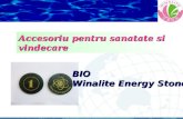 BIO   Winalite Energy Stone