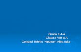 Grupa  a 4-a Clasa a VIII-a A Colegiul Tehnic “Apulum” Alba Iulia