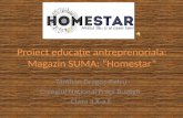 Proiect educație antreprenoriala: Magazin SUMA: ”Homestar”