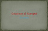 Cetatean  al Europei