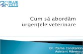 Cum să abordăm urgențele veterinare