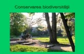 Conservarea  bio diversităţii