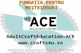 AdultCraftEducation-ACE crafts4u.ro