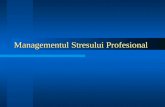 Managementul Stresului Profesional