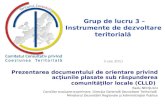 Grup de lucru 3 – Instrumente de dezvoltare teritorială 9 iulie  201 3
