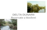 DELTA DUNARII Rezervatie a biosferei