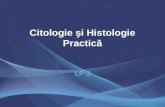 Citologie şi Histologie Practică
