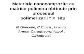 Materiale nanocompozite cu matrice polimera obtinute prin procedeul  polimerizarii “in situ”