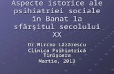 Aspecte istorice ale psihiatriei sociale în Banat la sfârşitul secolului XX
